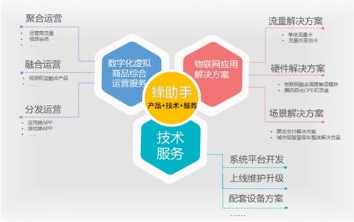 蜂助手成功過(guò)會(huì)，即將登陸深交所創(chuàng)業(yè)板，專注網(wǎng)絡(luò)技術(shù)服務(wù)創(chuàng)新