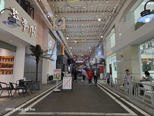 綠廠再次玩出花 新旗艦創新拍攝玩法，顯微鏡和廣角表現亮了